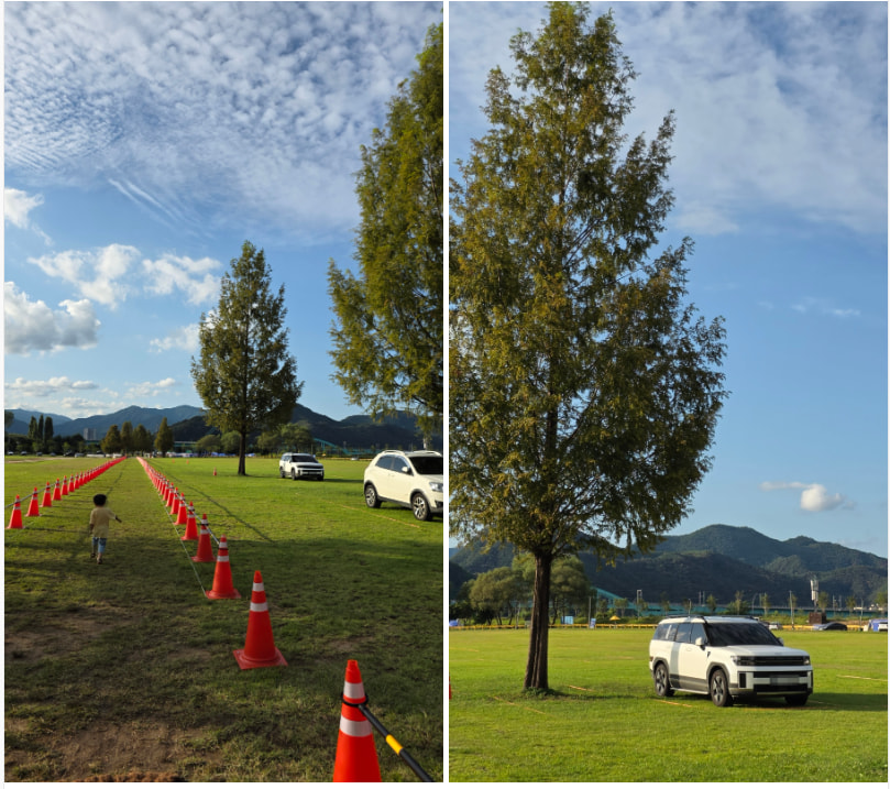 자라섬 (2025 꽃 페스타)