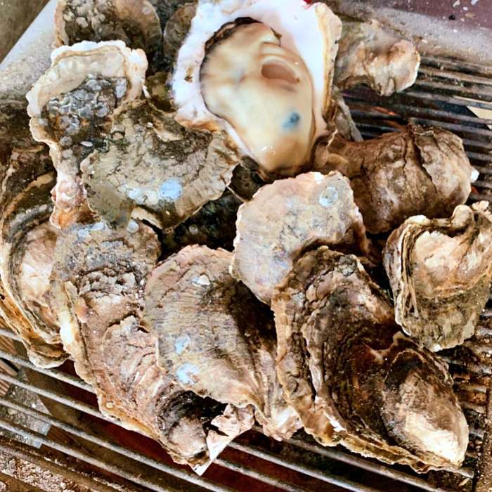 생방송투데이 구례 벚굴 벚굴찜 벚굴구이 맛집