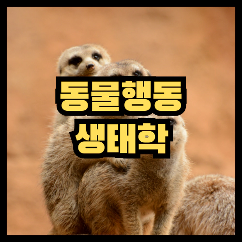 동물행동 생태학