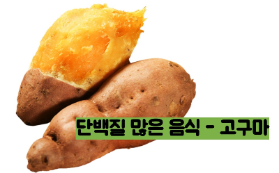 단백질 많은 음식