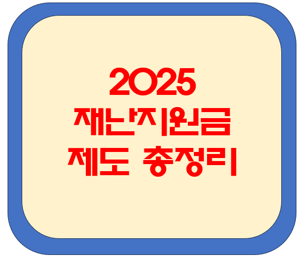 2025 재난지원금 제도