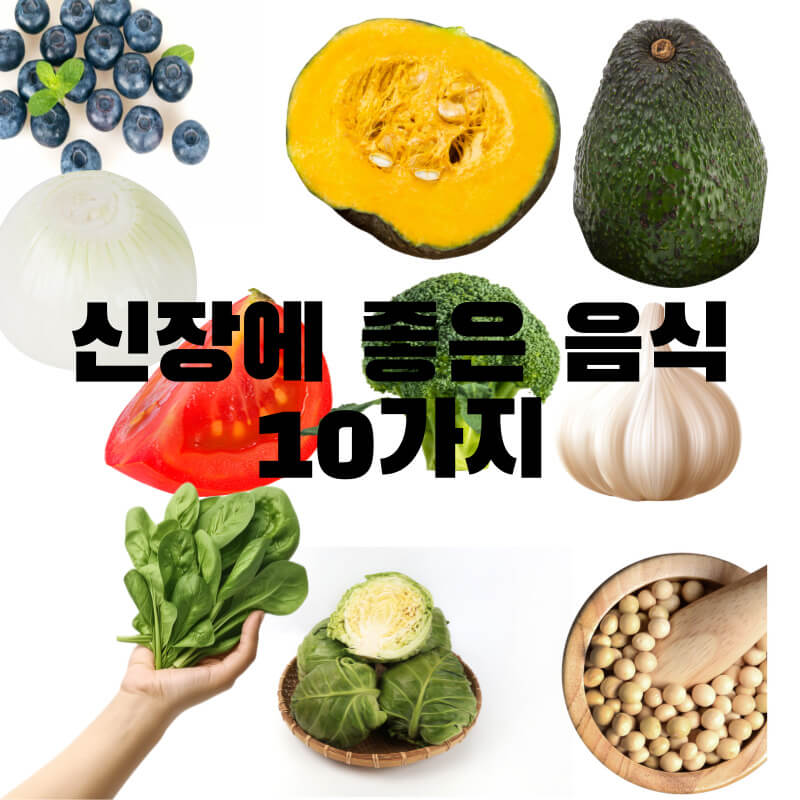 신장에 좋은 음식 10가지