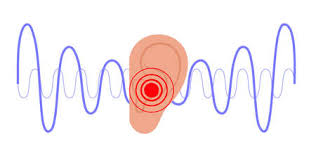 귀에서 소리가 나는 이유