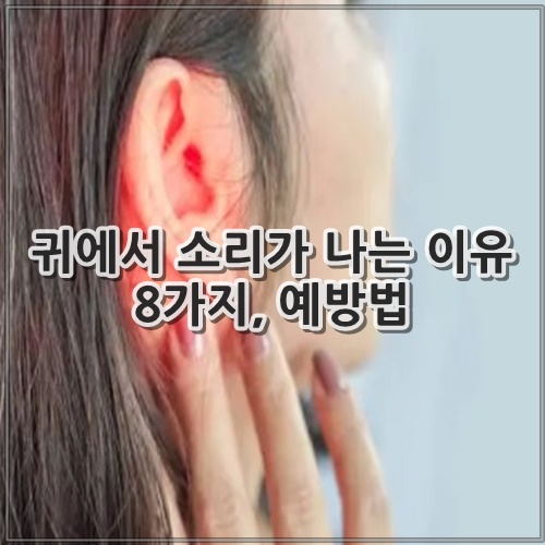 귀에서 소리가 나는 이유 8가지, 예방법