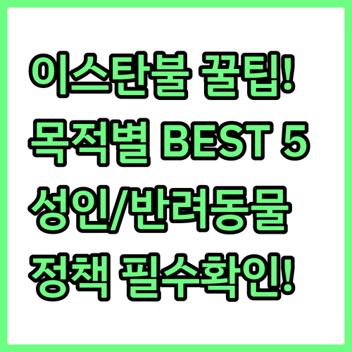 이스탄불 숙소 5곳 목적별 맞춤 추천..