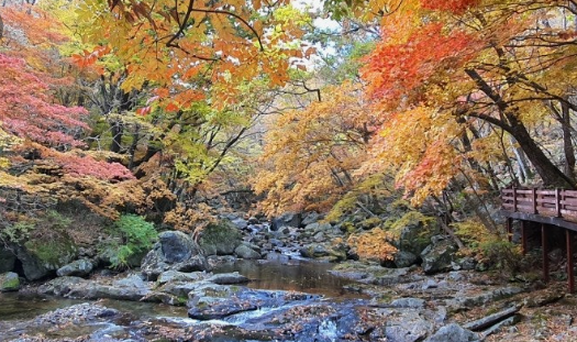 무주구천동