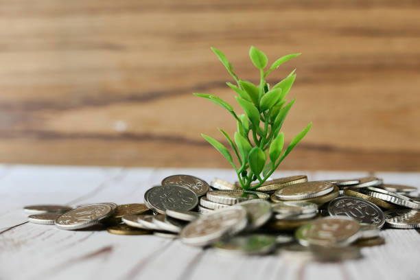 연금 수령 시 세금 부담, 줄이는 법