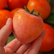 대봉감 홍시 만드는법