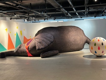 서커스