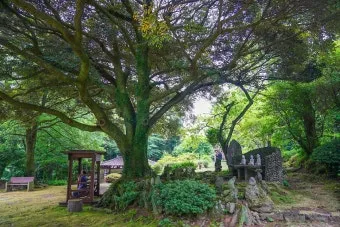 조용한 국내 1박2일 여행지 숨겨진 명소 10선_11