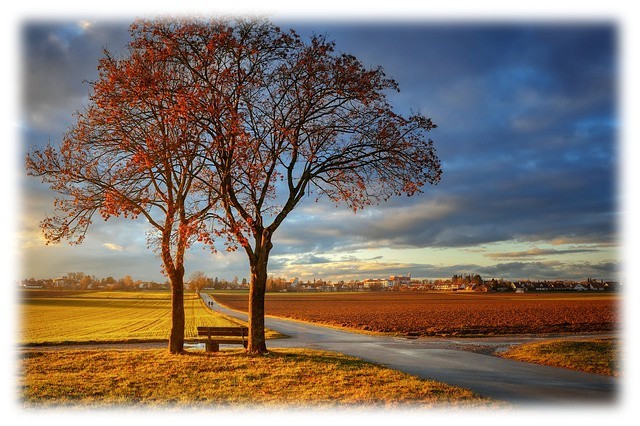 가을 풍경 속 마을