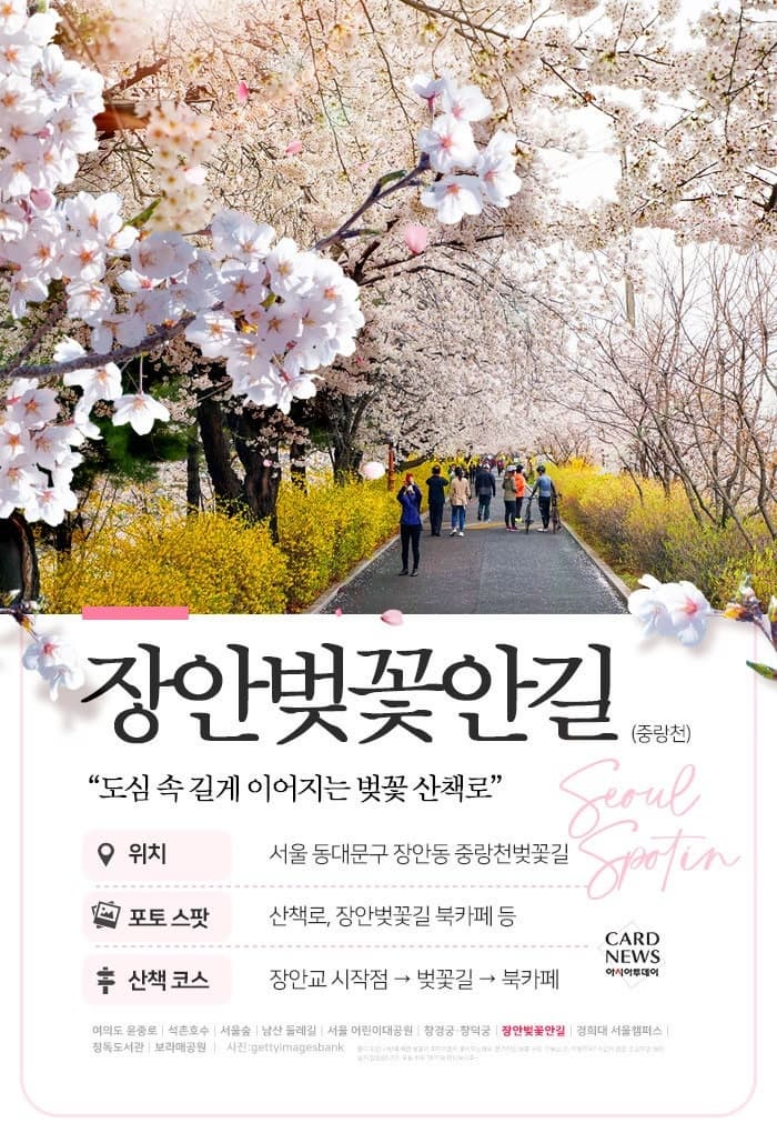 서울 벚꽃 명소 10곳 소개