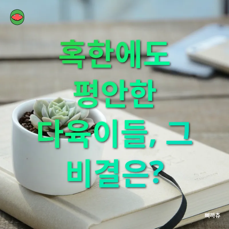다육식물 겨울 관리_3