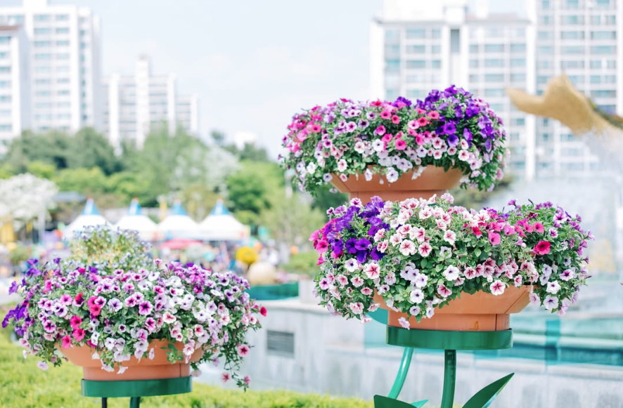 사진출처=고양국제꽃박람회 인스타그램