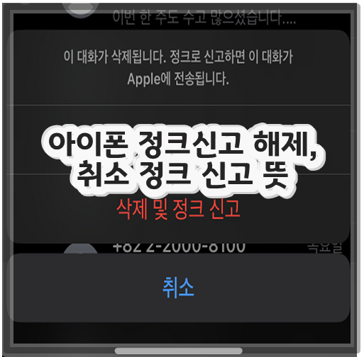 아이폰 정크신고 해제, 취소 정크 신고 뜻