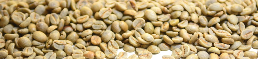그린커피-생두