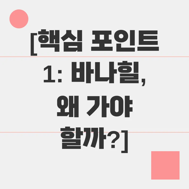 다낭 바나힐 여행_1