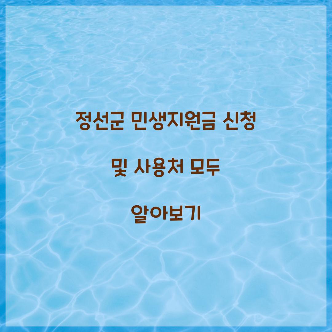 정선군 민생지원금 신청
