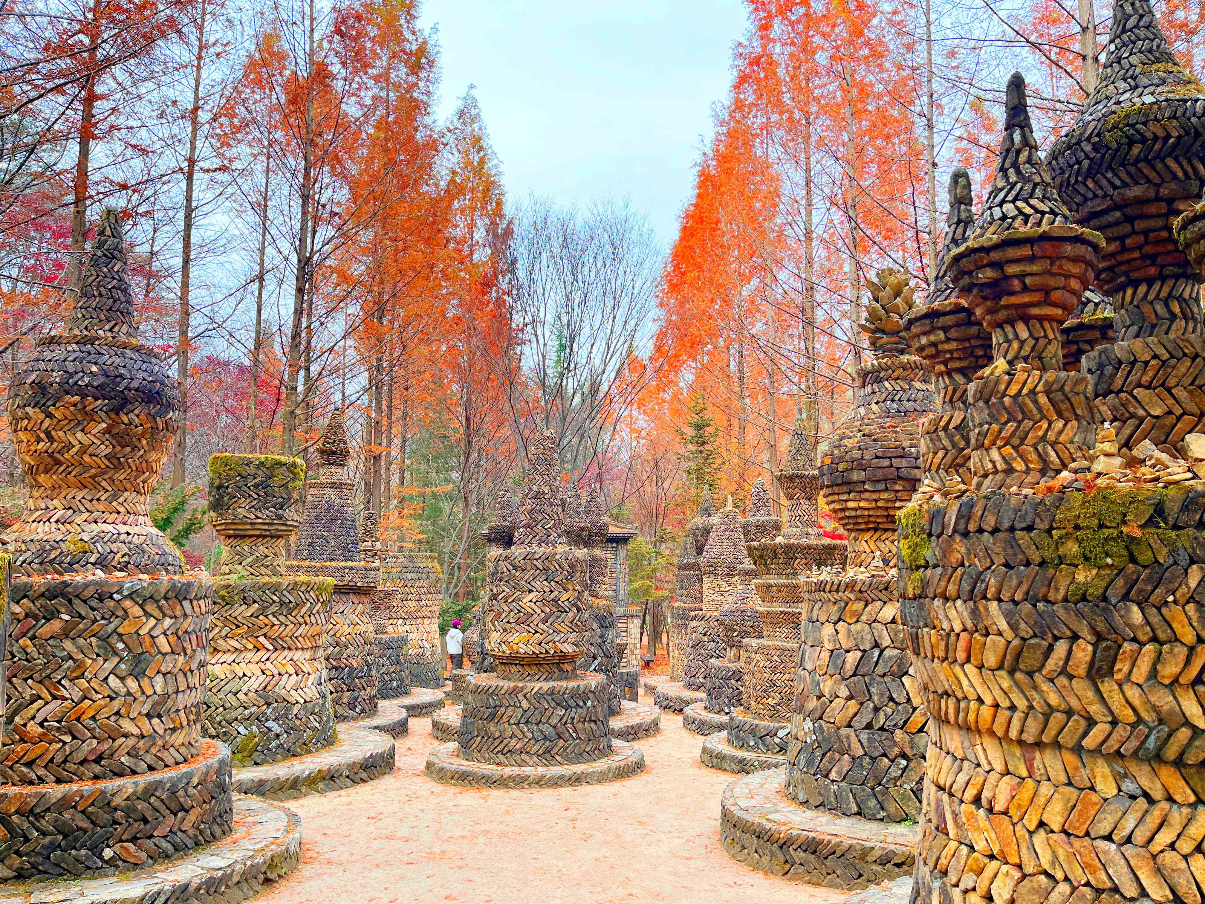 상소동산림욕장