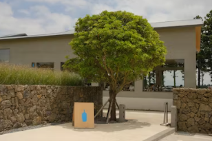 블루보틀 창업에 대하여 알아보기