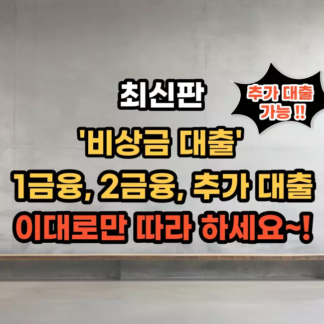 비상금-대출