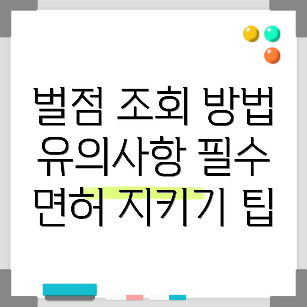 운전면허 벌점조회