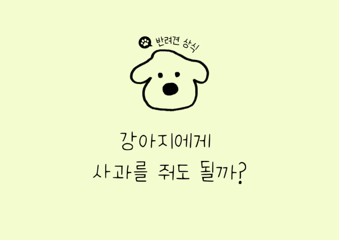 강아지 간식, 강아지 사과, 강아지 사과씨, 강아지 사과 얼마나, 강아지 하루 사과