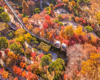 단풍 명소 화담숲_1