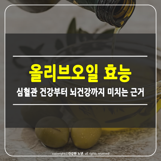 올리브오일 효능 썸네일