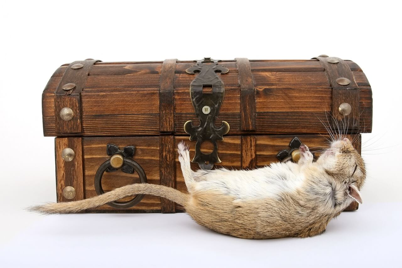 시체 꿈 해몽 해석