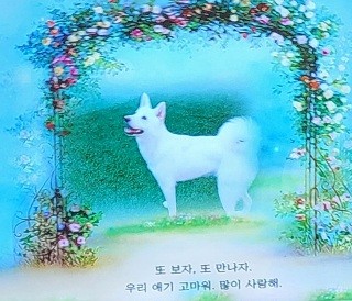 사랑하는 반려견