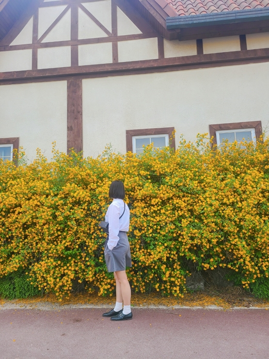 안성 팜랜드 죽단화