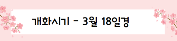 봄꽃 여행지