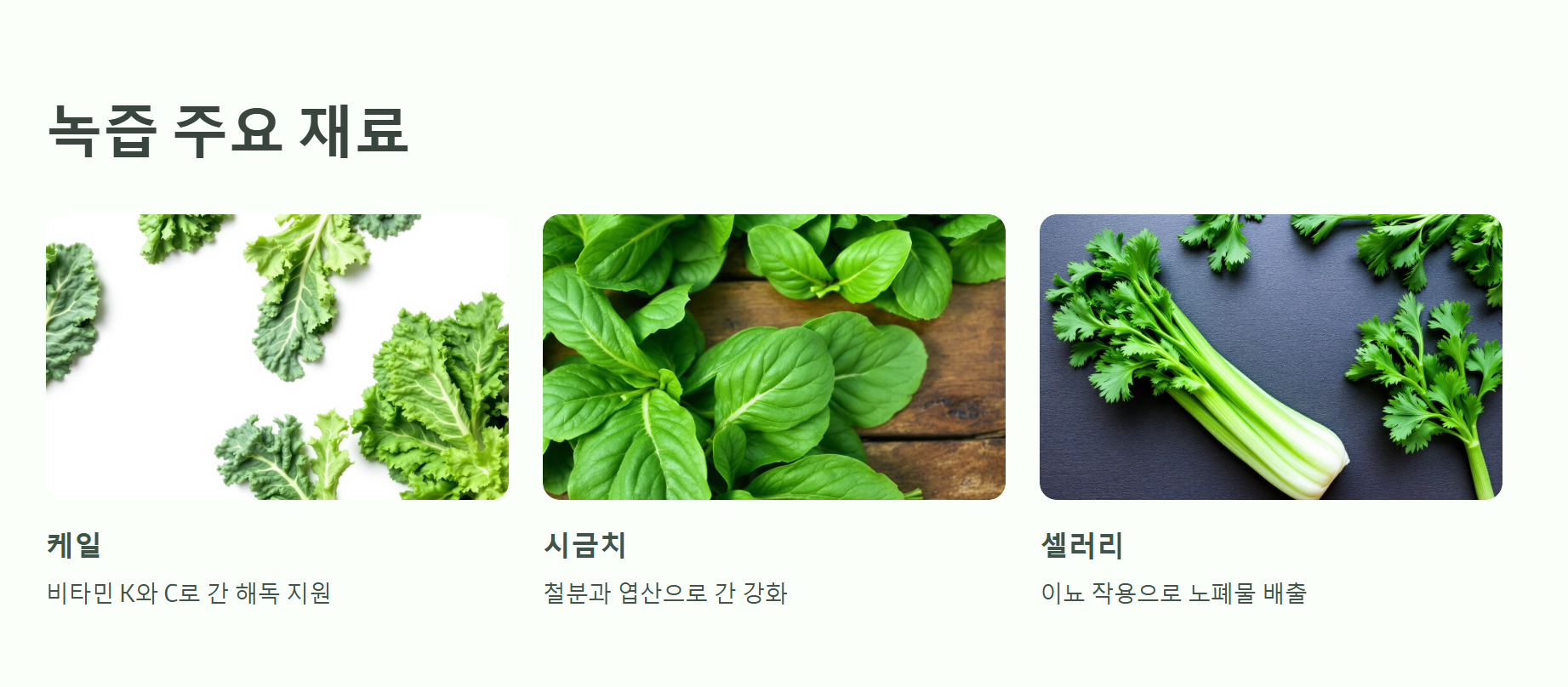 자주 사용되는 녹즙 재료