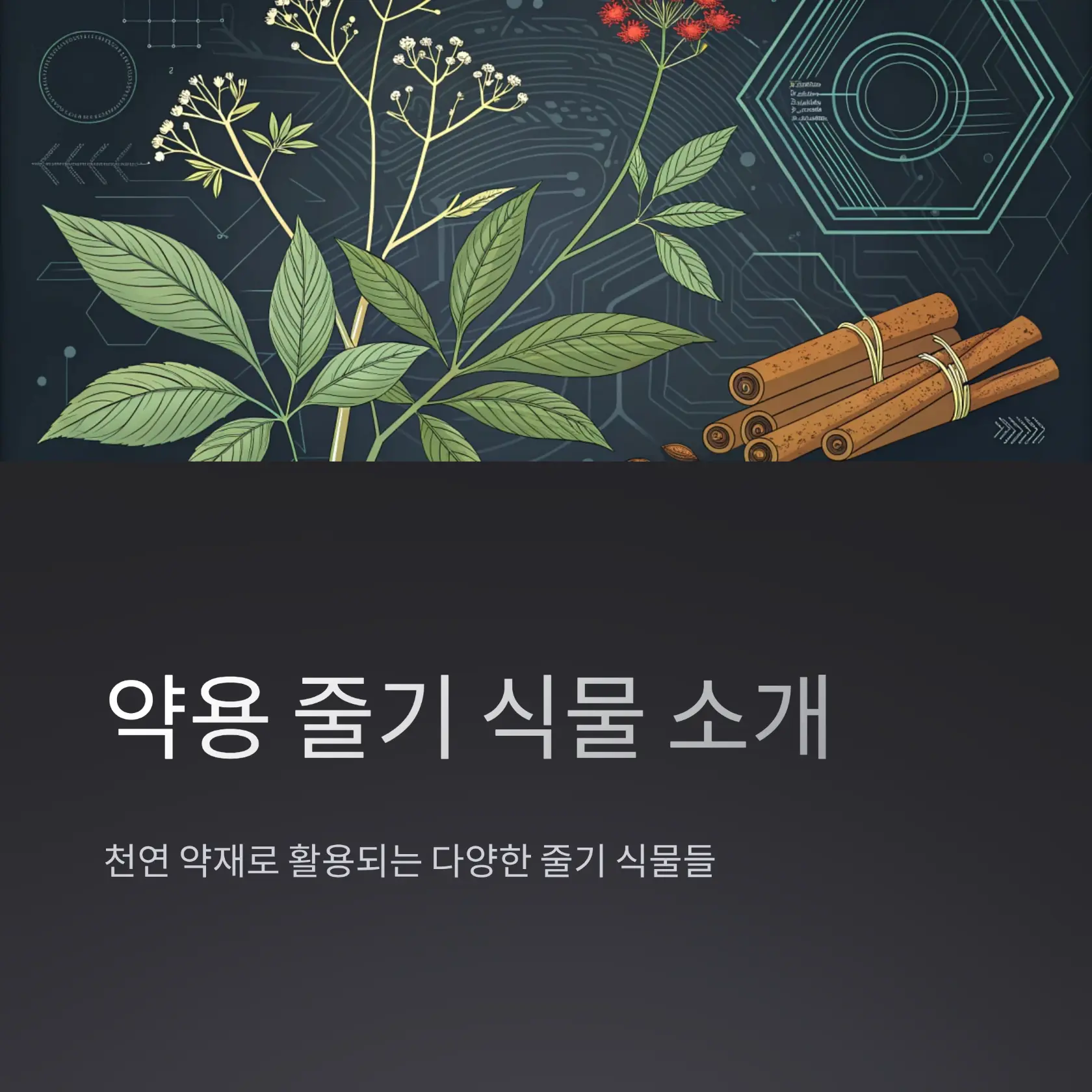 약용 줄기 식물 효능과 활용법