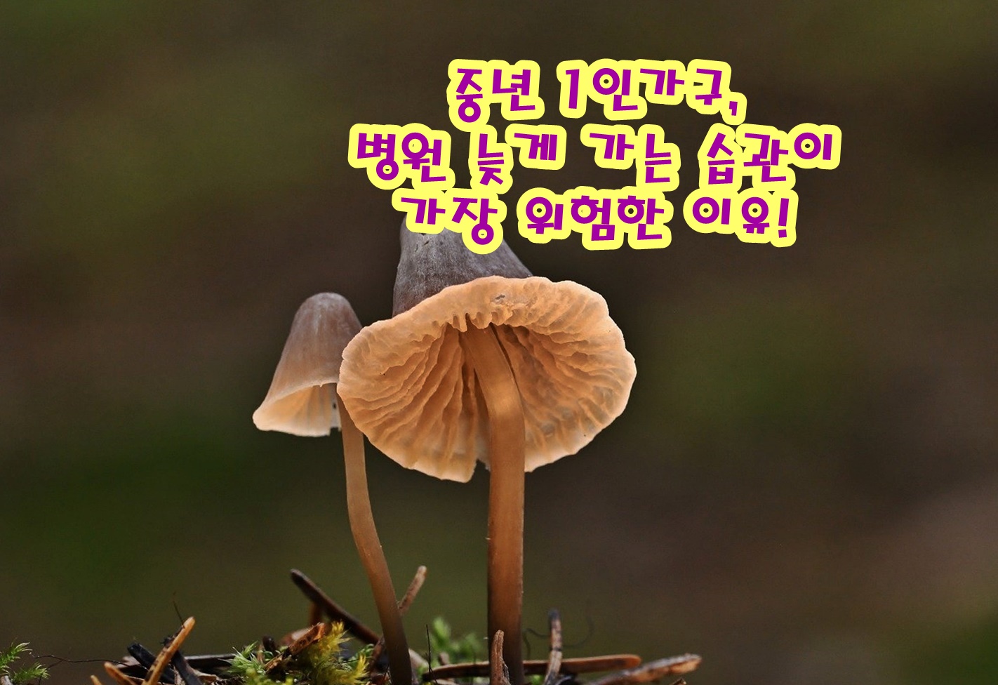 중년 1인가구, 병원 늦게 가는 습관이 가장 위험한 이유!