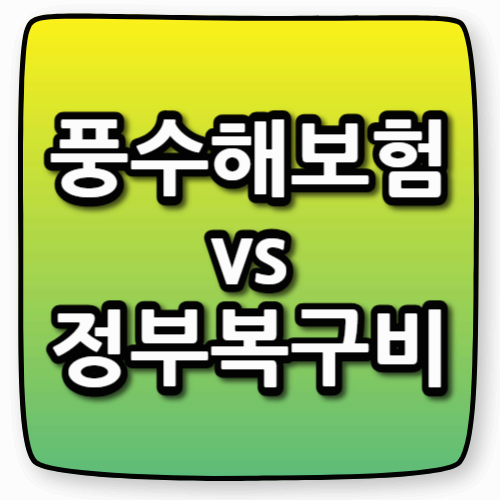 풍수해보험 vs 정부 복구비 지원|침수 피해, 어디서 보상받을까?