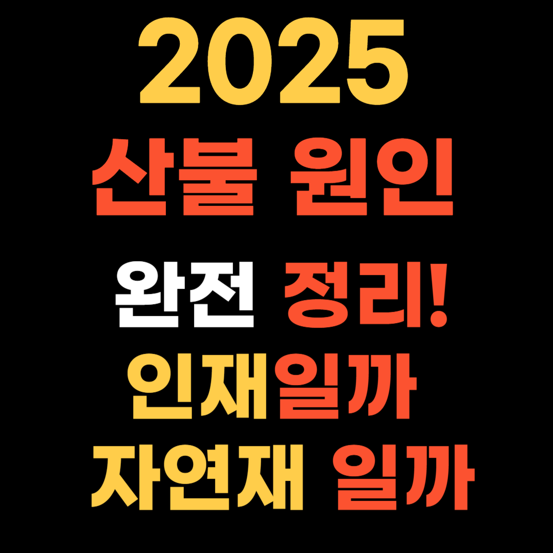 산불 원인 완전 정리! 인재일까 자연재일까?