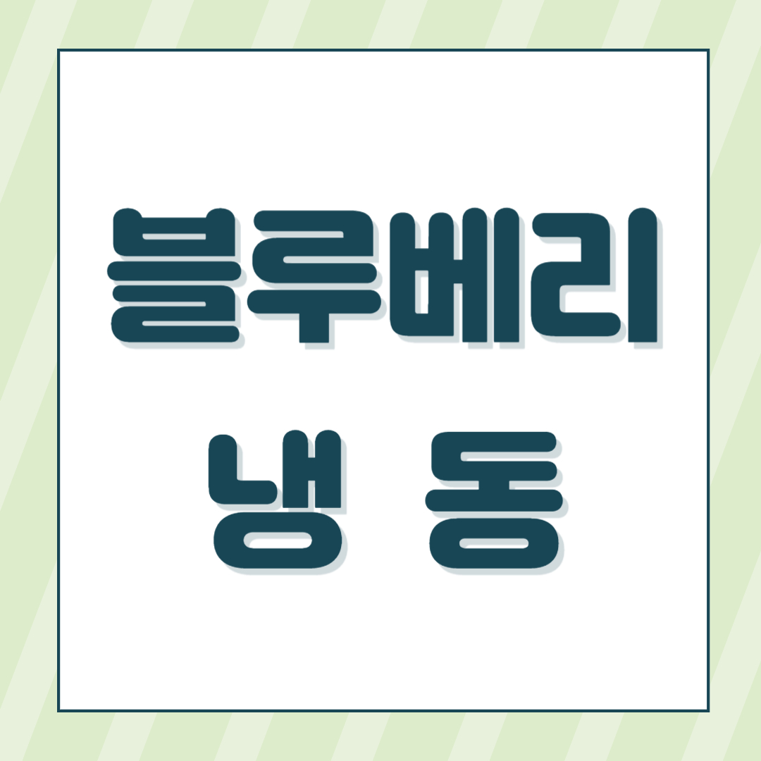 냉동 블루베리 효능