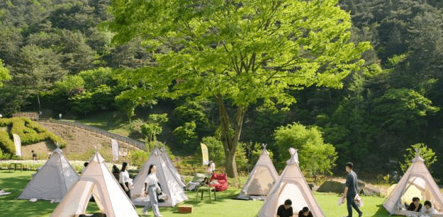 2024 화순 고인돌 가을꽃 축제