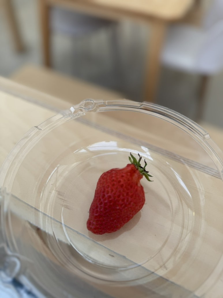 페이머스파머스