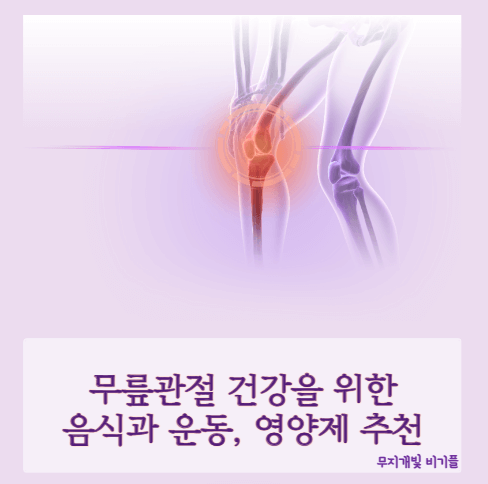무릎관절-건강을-위한-음식과운동영양제