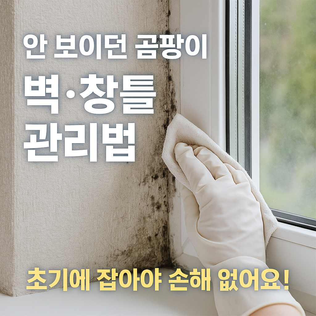 [5편] 곰팡이 없는 집을 위한 장마철 벽과 창틀 관리법