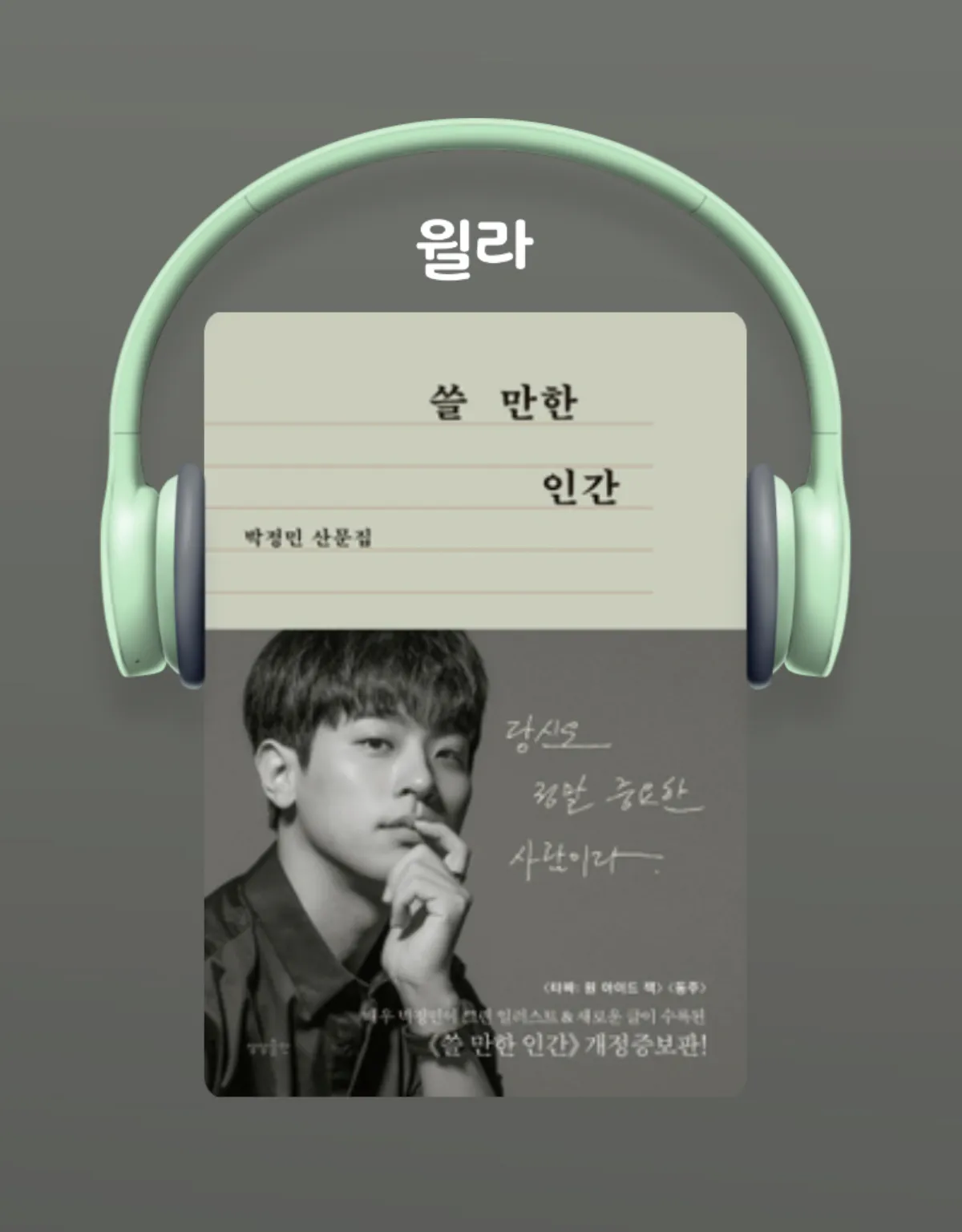 윌라-오디오북-쓸만한인간-표지