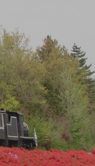 곡성 기차마을 증기기관차