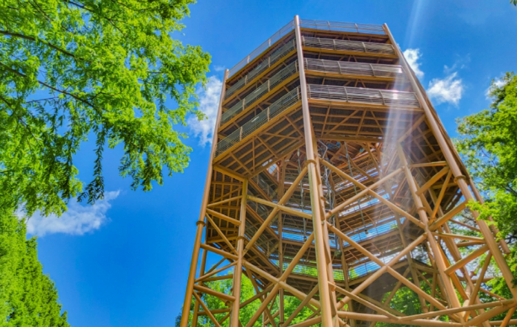 장태산 자연휴양림