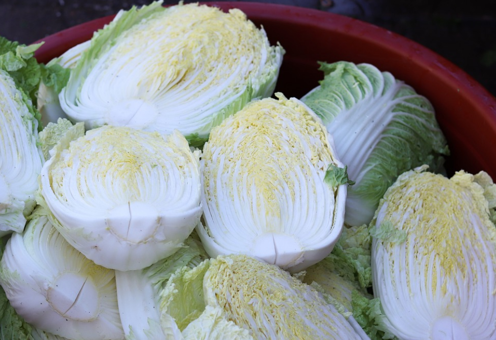 절임배추 20kg과 10kg 몇 포기 구매 바로가기