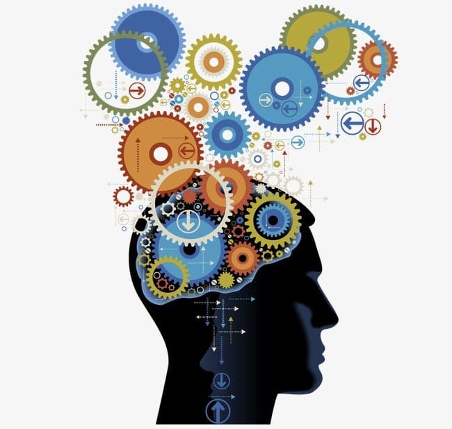 스마트 기기 과부하와 전두엽 피로: 디지털 단절의 뇌 회복 효과