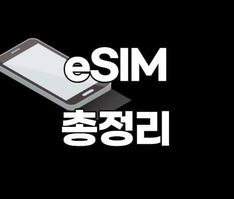 e심