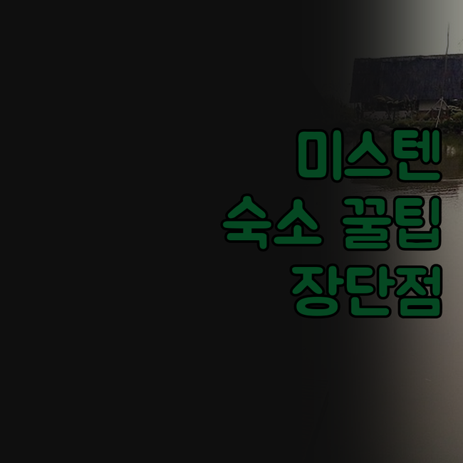 미스텐 케펜 B&B 호텔 알바트로스 ..
